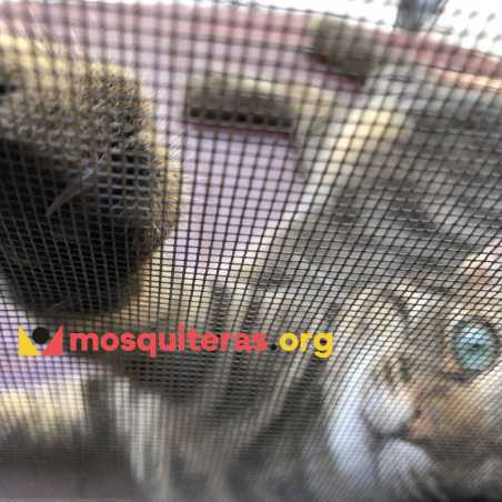 Mosquitera Gatos para ventanas abatibles