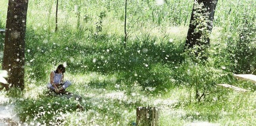 Evitar los efectos de la alergia primaveral | Filtros antipolen