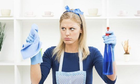 Cómo Limpiar las Mosquiteras