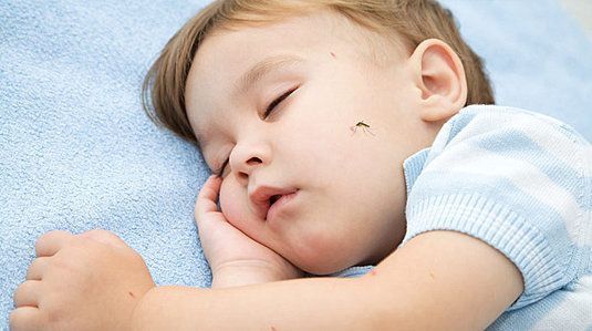 Mosquiteras para el descanso de tu hijo