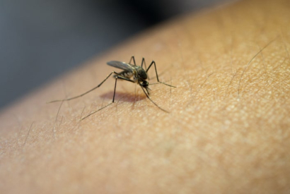 ¿Qué accesorios para mosquiteras hay?