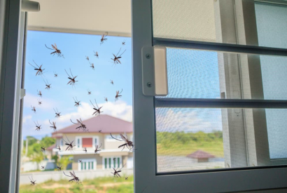 Comportamiento de los mosquitos ante climas calurosos