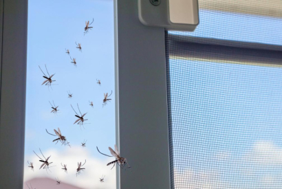¿Vale la pena reparar una mosquitera?